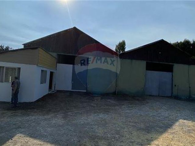 place photo 24