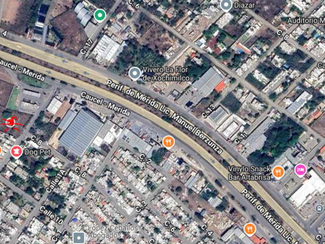 place photo 15