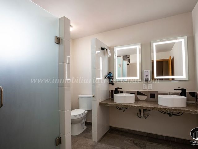 place photo 36
