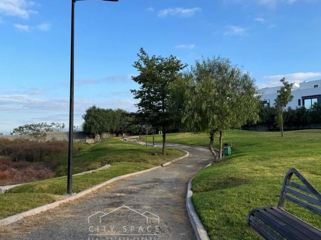place photo 40