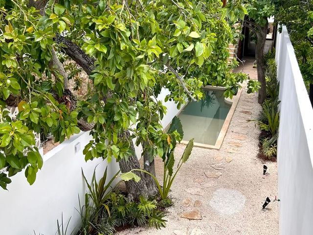 place photo 19