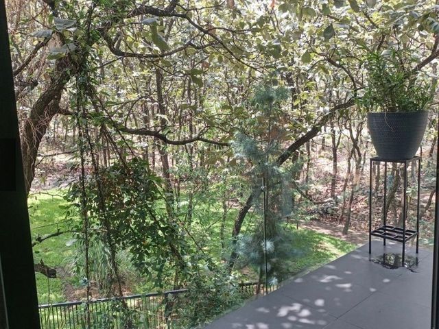 place photo 51