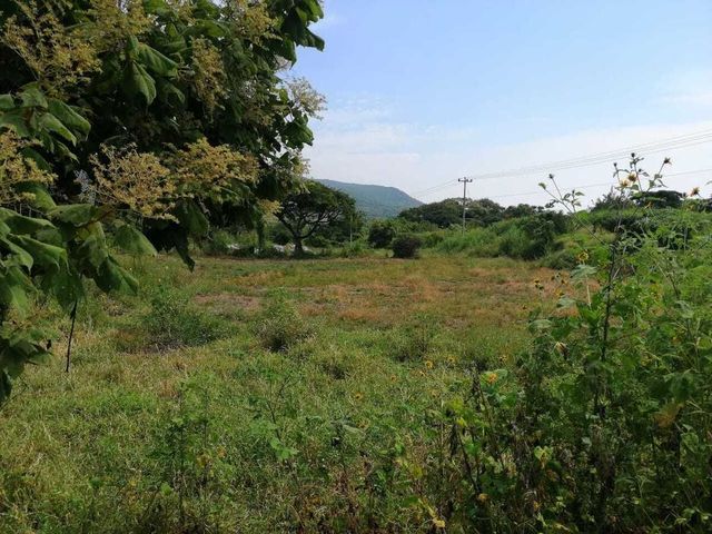 place photo 14