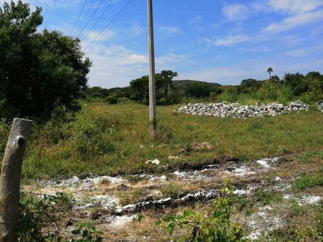 place photo 16