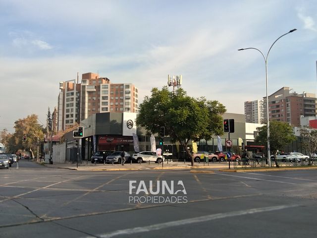 place photo 43