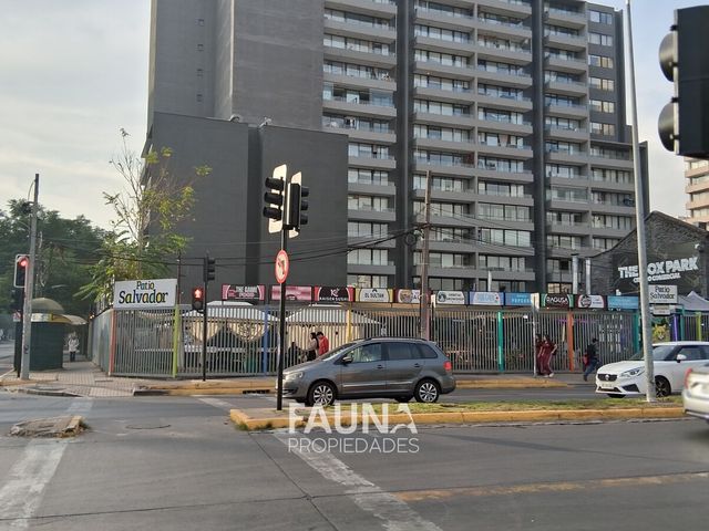 place photo 44