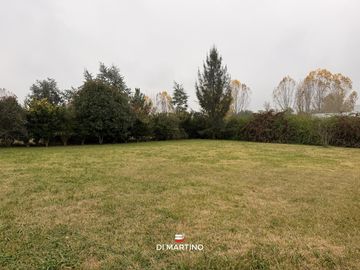 place photo 40