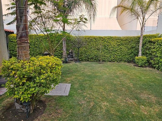 place photo 38