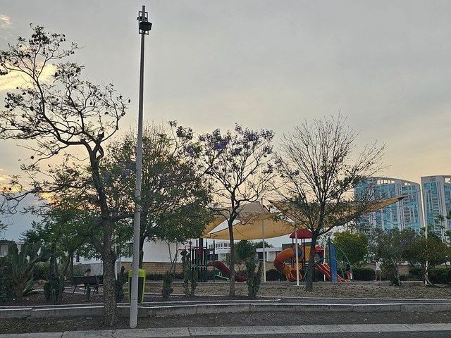 place photo 42