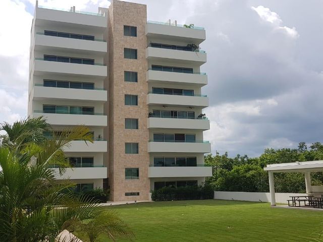 place photo 43