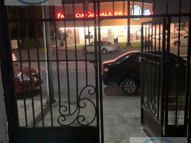 place photo 16