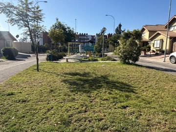 place photo 27