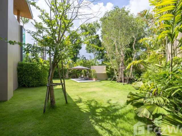 place photo 24