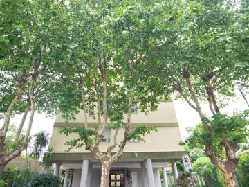 place photo 44