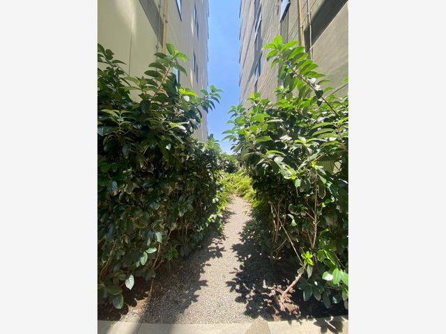 place photo 47