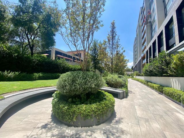 place photo 50