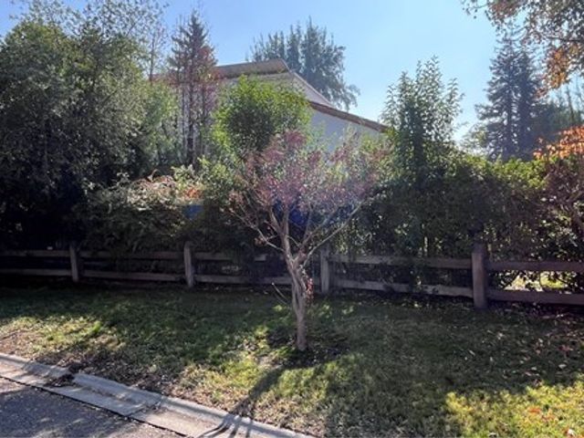place photo 96