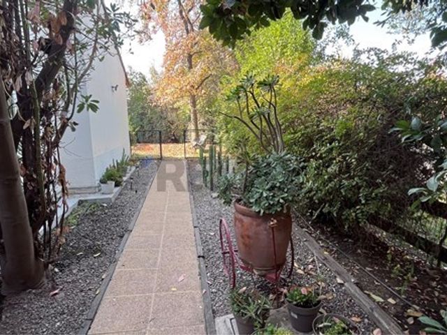 place photo 56