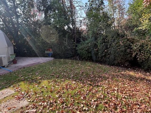 place photo 55