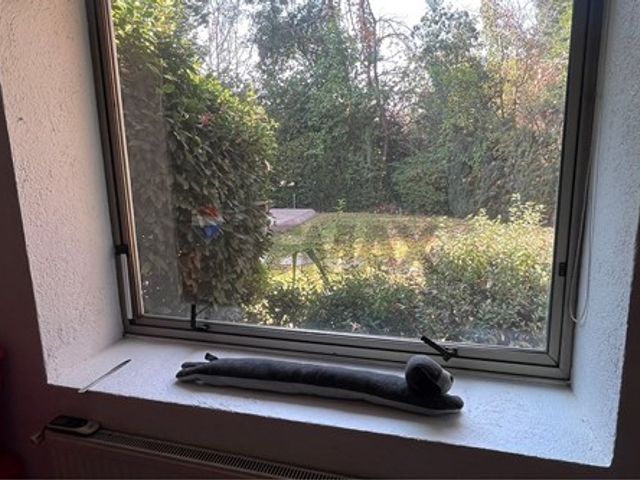 place photo 65