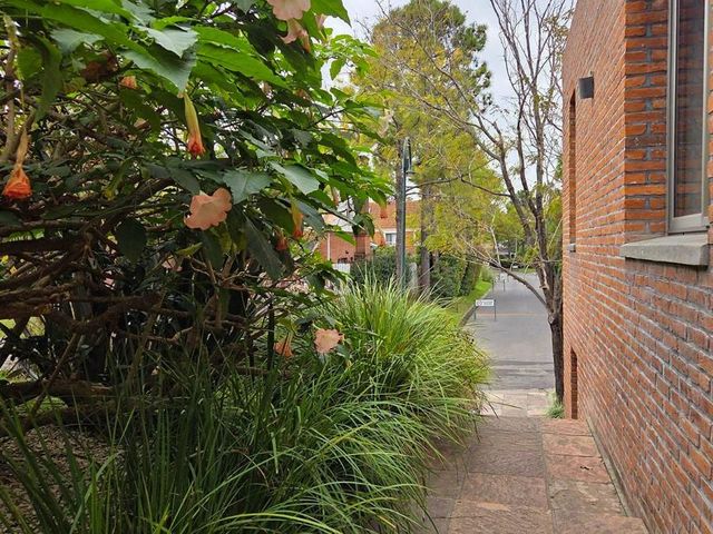 place photo 50