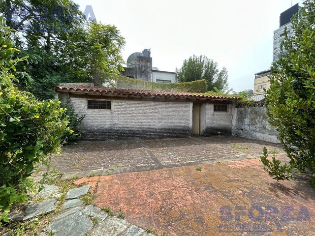 place photo 53