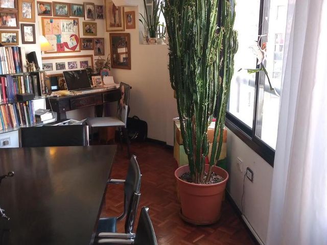 place photo 42