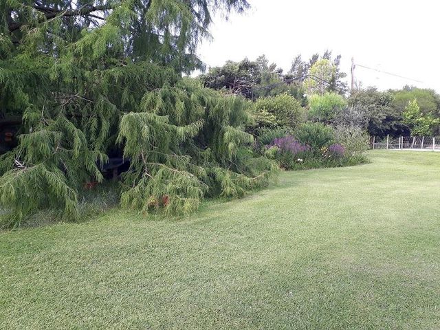 place photo 27