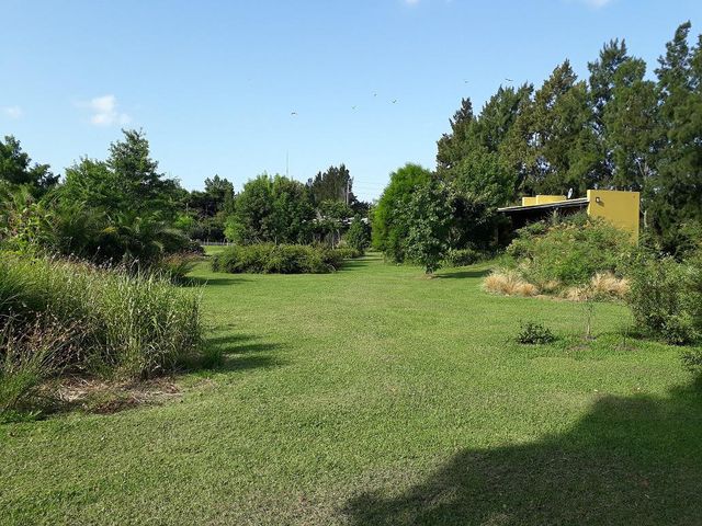 place photo 21