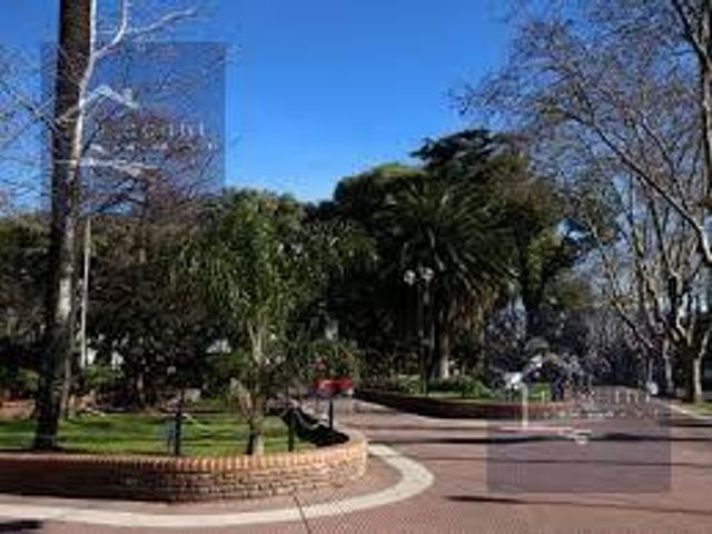 place photo 22