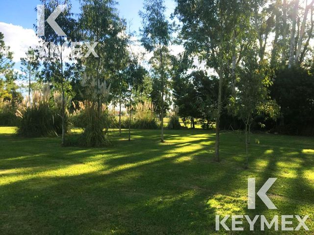 place photo 30