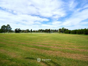 place photo 41