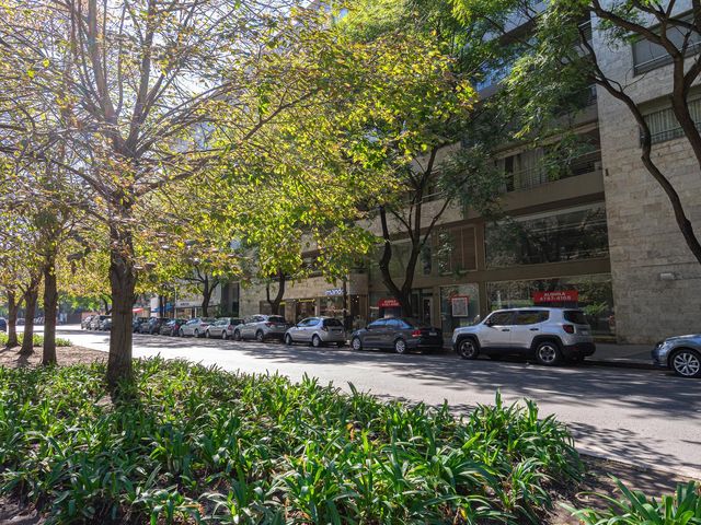 place photo 36