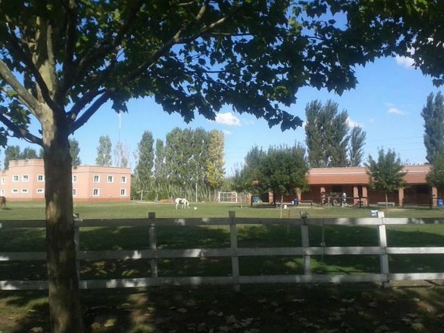 place photo 15