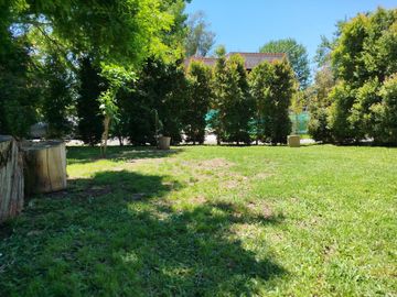 place photo 41