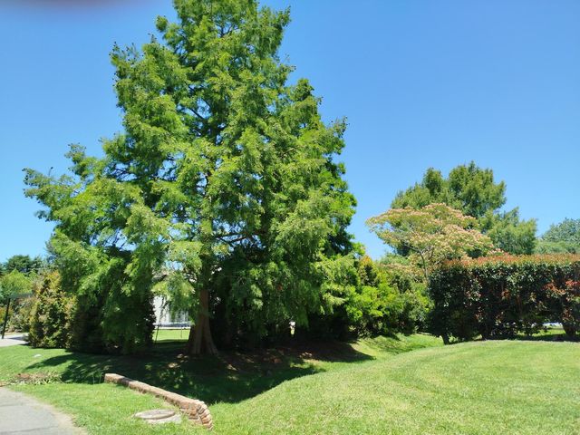 place photo 33