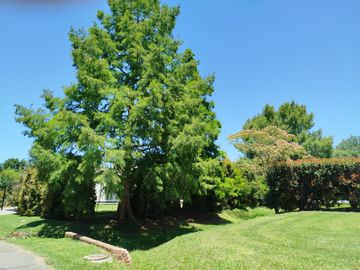 place photo 33
