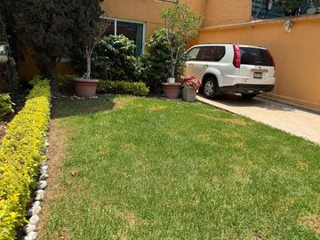 place photo 24