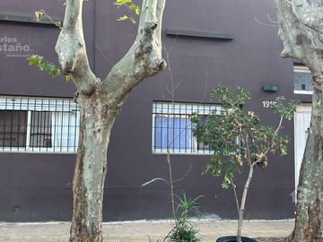 place photo 15