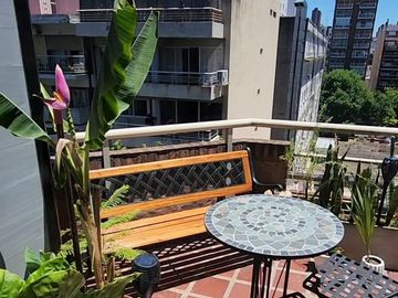 place photo 22