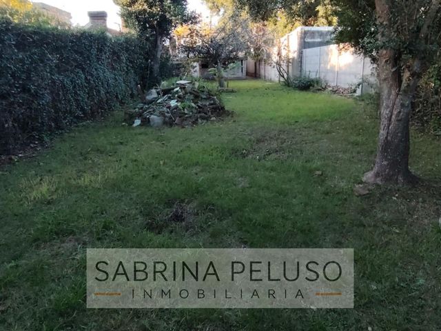 place photo 20