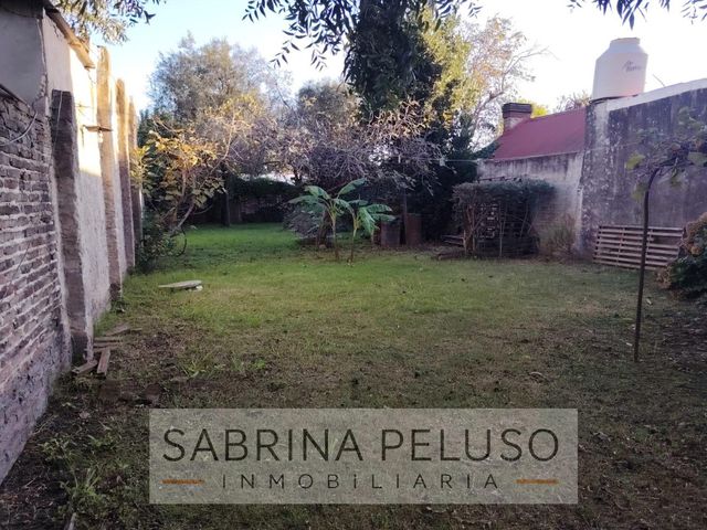 place photo 22
