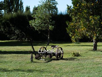 place photo 36