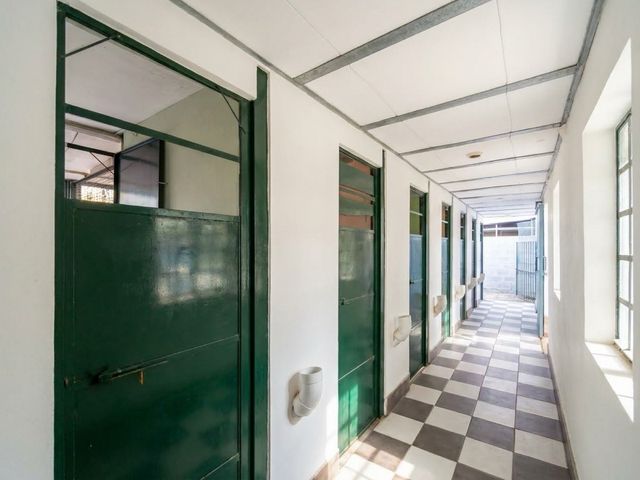 place photo 41