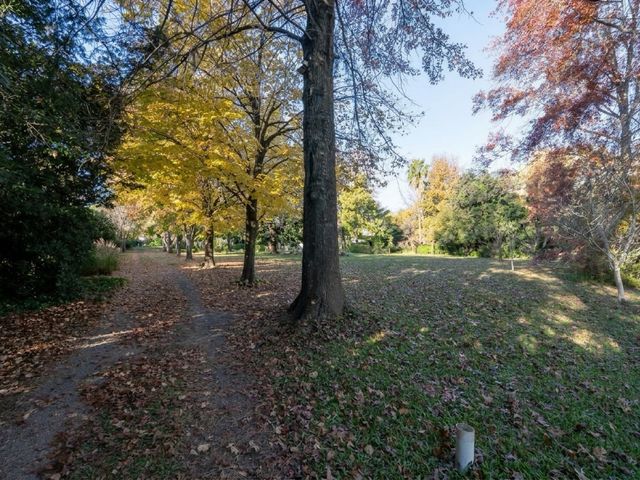 place photo 37