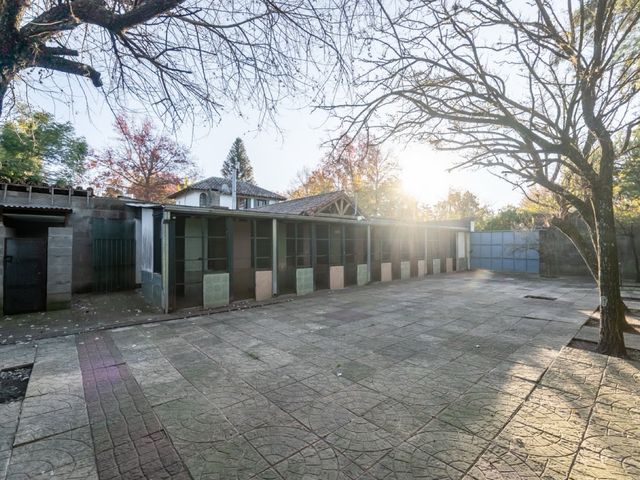 place photo 42