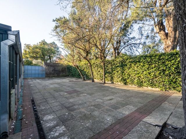 place photo 51