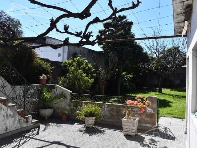 place photo 34