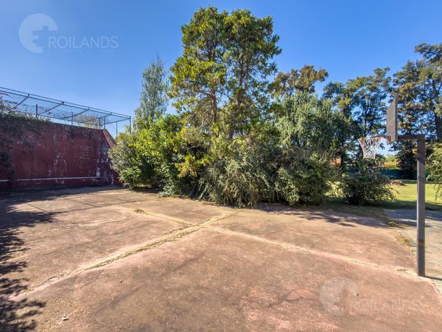 place photo 37