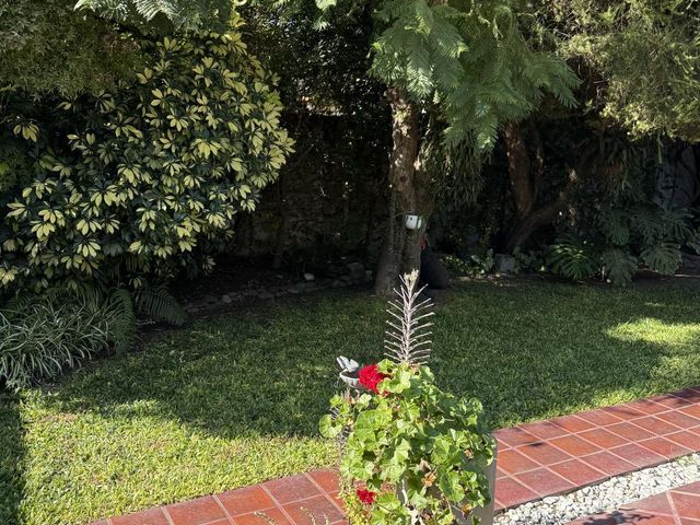 place photo 51